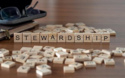 3 Ways to Leverage a Stewardship Mindset